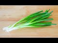 4 Ways Preserve Scallions for Weeks or Months, CiCi Li - Asian Home Cooking Recipes