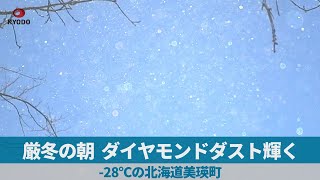 厳冬の朝、ダイヤモンドダスト輝く -28℃の北海道美瑛町