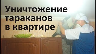 видео Уничтожение тараканов