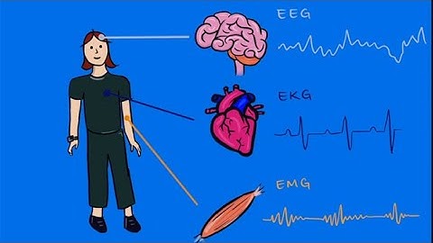 Sensing Patterns of the Brain