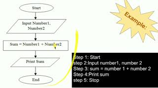 Class 5 Flowchart Part-2