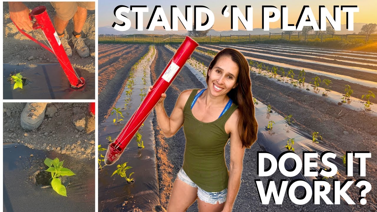 Can the Stand 'N Plant Save Our Backs? Planting 500+ Plants on Our Small Farm!