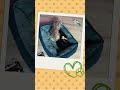 Introducing MayeCreate's Nap Technician in Training: Malley