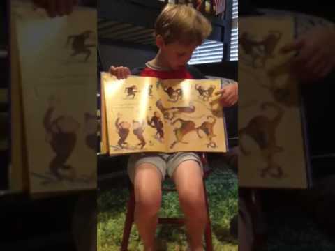 Austin's book review of Giraffes Can't Dance by: Giles Andrede