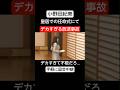 【陛下もびっくり?】小野田紀美のアレがデカすぎる…【手軽に国会中継】