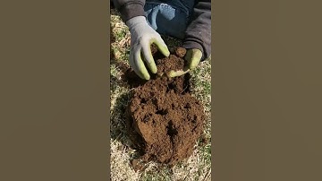 Short #166 - Silver with the Nokta Makro Simplex.   #metaldetecting