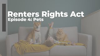 Renters Rights Act - Episode 4: Pets