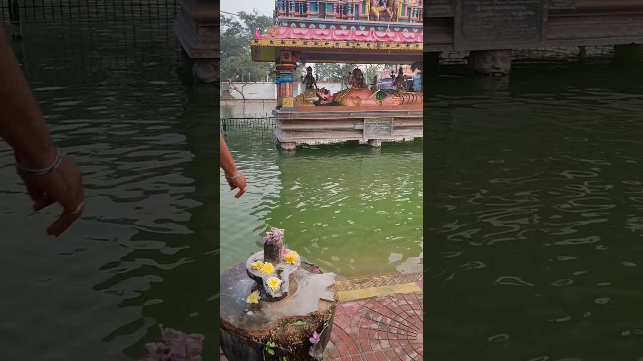 kukkuteshwara temple and samarlakota shiva #andhrapradesh #telangana #youtubeshorts #reels #video