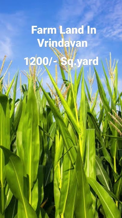 cheapest-farm-land-call-for-booking-8010600700-viral-shorts-trending