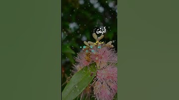 Surah As-Sajda 32:28-29 - سورة السجدة ⏳🏛️! 🌟 #Quran #SurahSajda #DayOfJudgment #FaithOverWorld