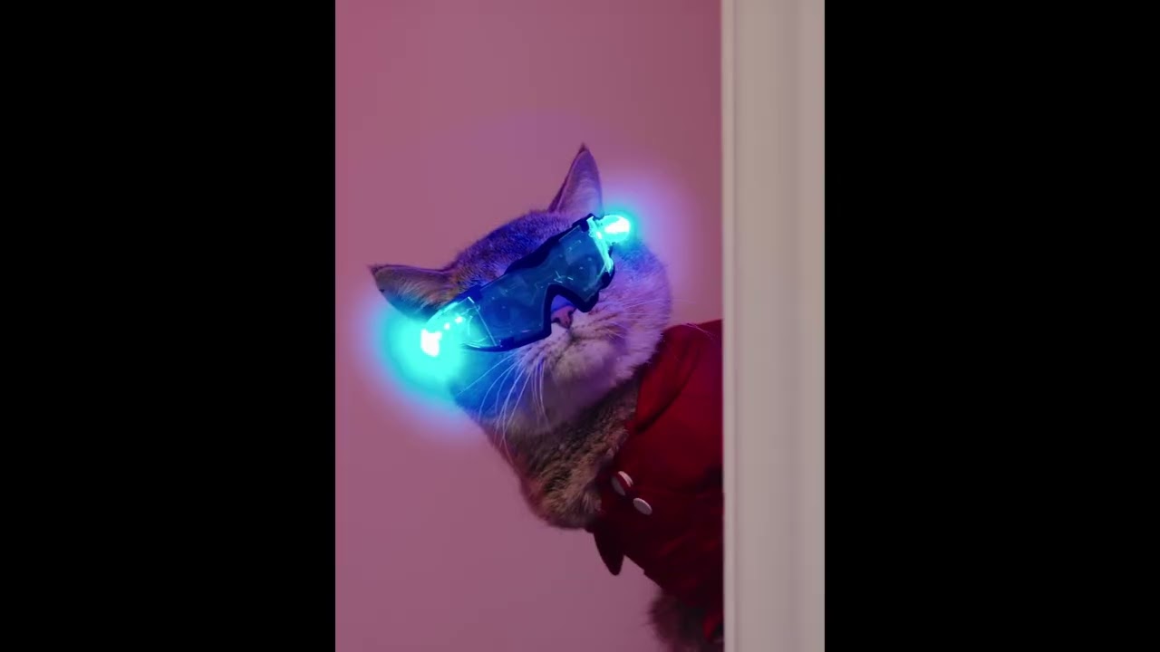 Funny Pets Caught in the Act 😂 | Dogs & Cats;Funny Animal Moments;Funny Pets