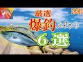 【行けば釣れる釣場6選】常滑釣りスポット【厳選】