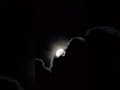 🌕✨The moon keeps watch over our olive groves. A silent serenade.