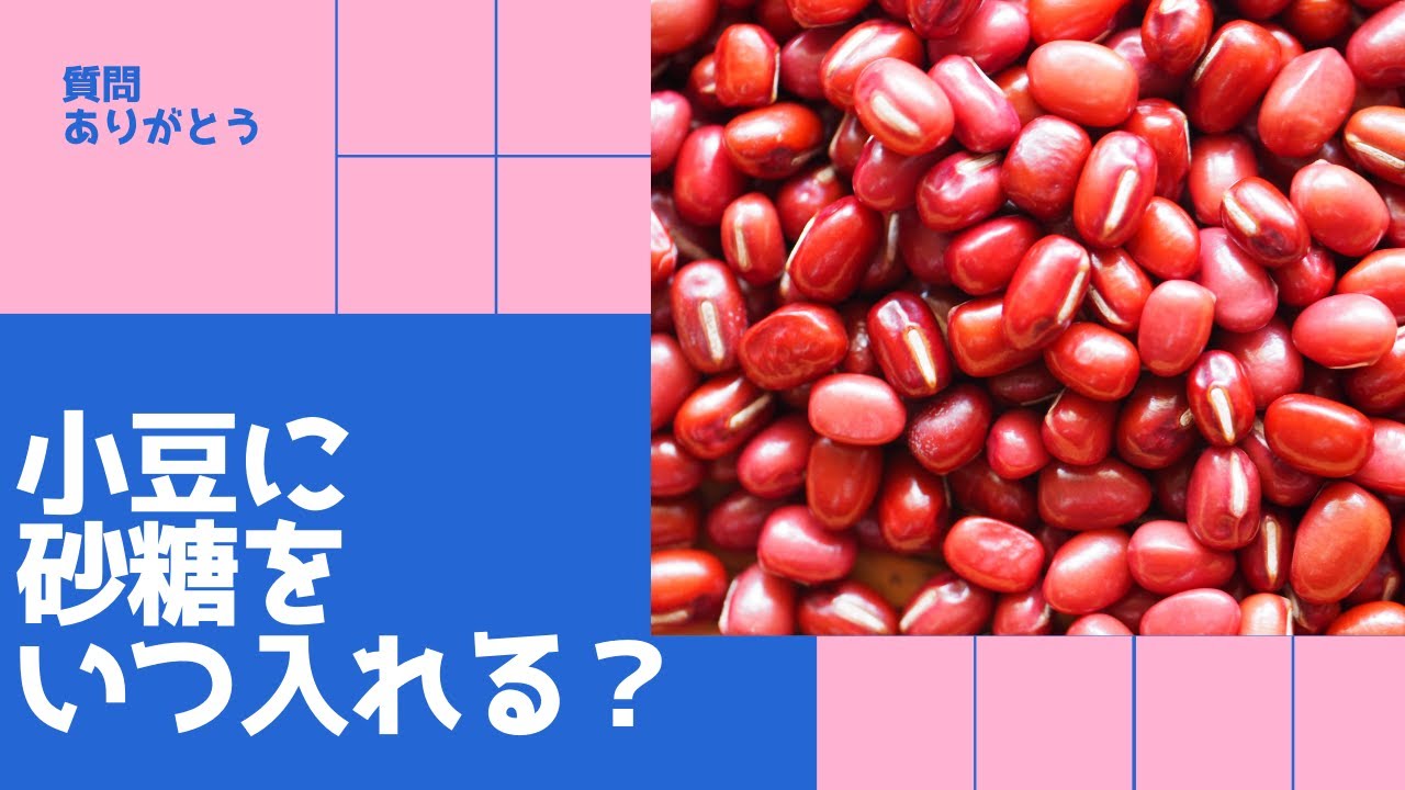 小豆に砂糖を入れる正しいタイミングはコレしかない Shorts Youtube 小豆に砂糖を入れる正しいタイミングはコレしかない Shorts Youtube