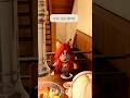 Why Is Mellow There рџЊё What Game Is Roblox рџ 6 Original Parody Wow Why Is Mellow There рџЊё What Game Is Roblox рџ 6 Original Parody Wow