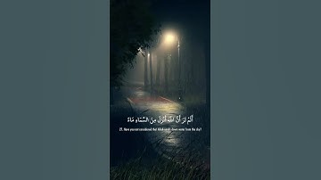 ⁨ سورة فاطر الآية 27 | بصوت الشيخ ياسر الدوسري