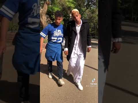 وجدي القهوجي راجع