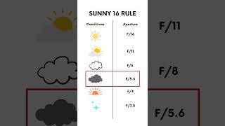 No light meter? Follow the Sunny 16 Rule