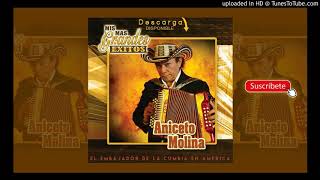 ANICETO MOLINA : La Zorra