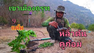 ศึกชิงเชลยคารมกาญจนบุรี