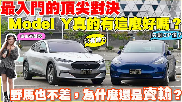 美系后驱优等生对决，Model Y RWD  vs Mach-E Select｜【Echo’s Ev Life】 - 天天要闻