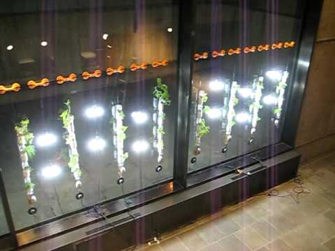 Windowfarm at the Whitney Museum of American Art, ...