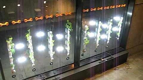 Windowfarm at the Whitney Museum of American Art, ...
