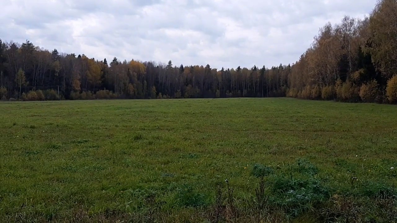 Нивы сжаты это
