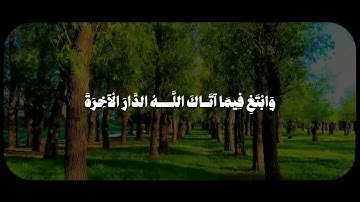 وَابْتَغِ فِيمَا آتَاكَ اللَّهُ الدَّارَ الْآخِرَةَ سورة القصص | الشيخ المنشاوي