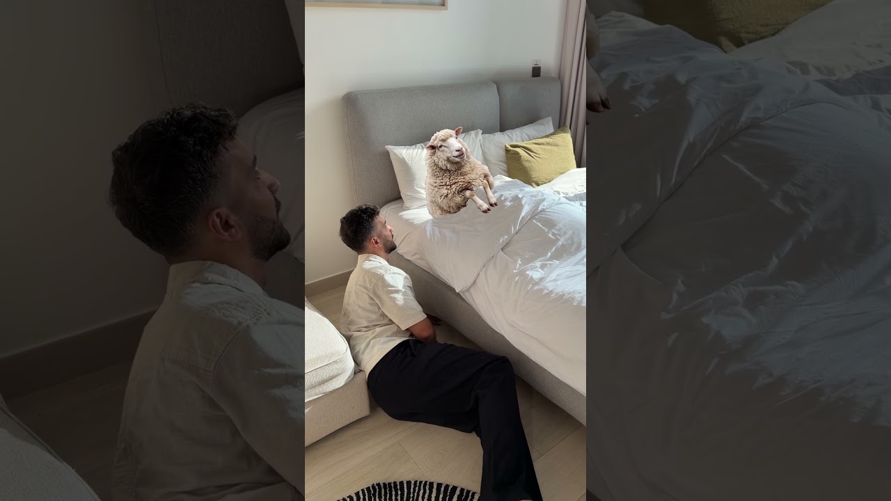 بس تصير انت و خروف العيد أصحاب
