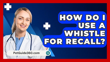 How Do I Use A Whistle For Recall? - PetGuide360.com