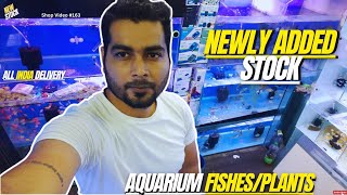 Newly Added!!! Aquarium Fishes &amp; plants| Water World Fish Aquarium Shop |