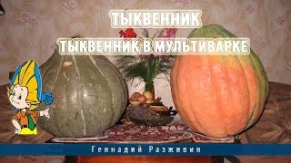 Тыквенник.Тыквенник в мультиварке