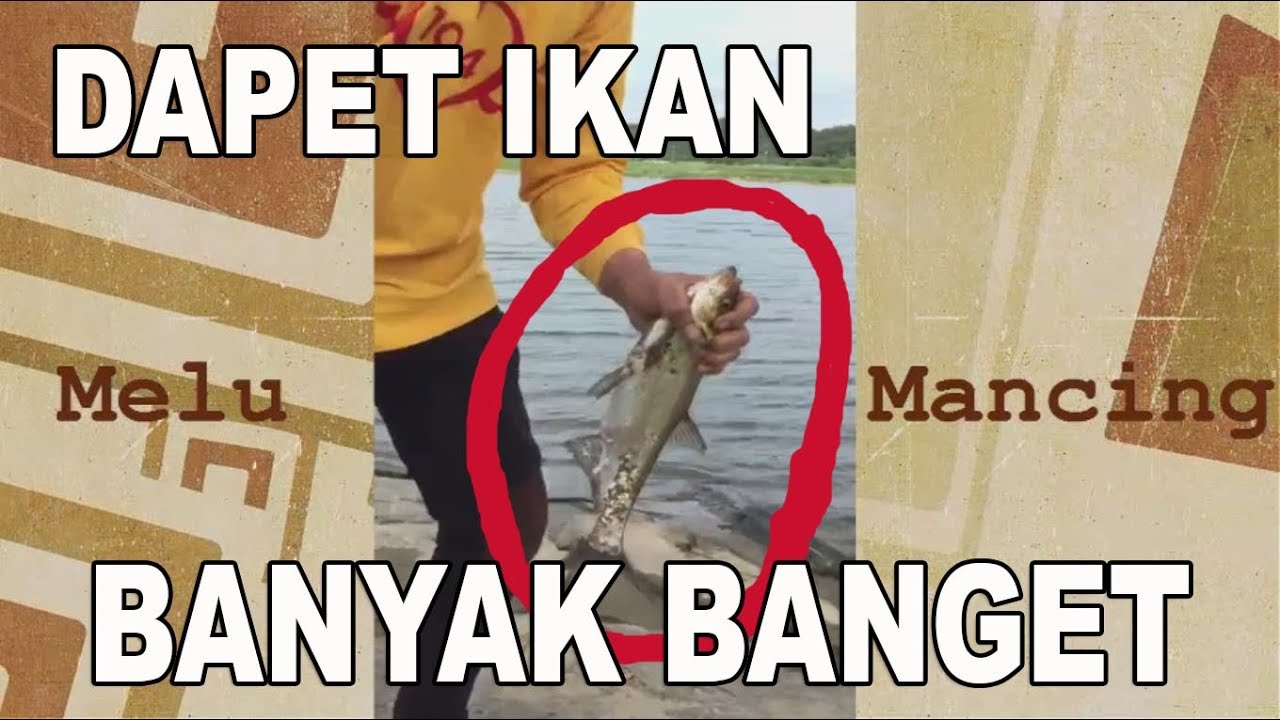 Edan Dapat Ikan Sebanyak Ini Mau Apa Melu Mancing Youtube