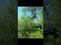#путешествиянаавто #travelvlog #путешествия #4x4 #vanlife #campinglife #travel #рыбалка #toyota