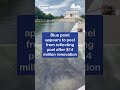 Blue paint appears to peel from Lincoln Memorial Reflecting Pool after renovation | NBC New York