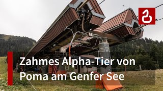 Sesselbahn Bernex - Pré Richard | Alternder Poma-Koloss mit Blick zum Genfer See