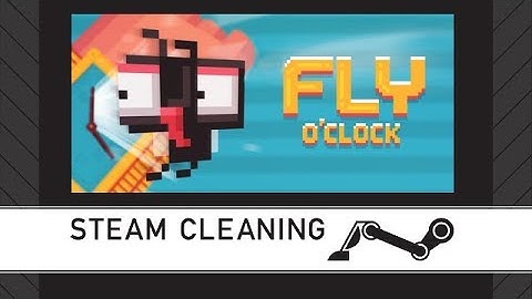 Steam Cleaning - Fly O