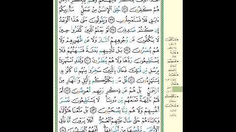 الصفحة (325) من المصحف الشريف ( سورة الأنبياء - مشروع حفظ القرآن الكريم )
