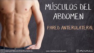 Músculos del Abdomen Anatomía ¡Fácil explicación! | Mentes Médicas