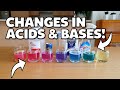 How to make the red cabbage ph indicator