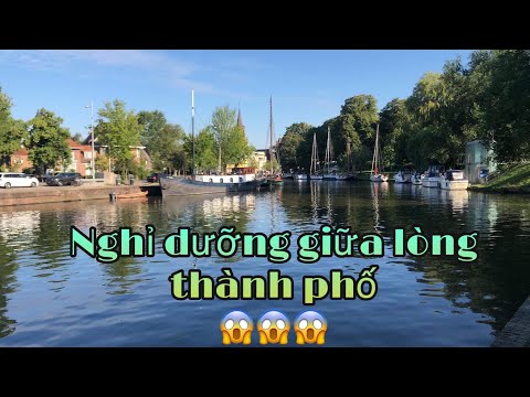 Video: Kỳ Nghỉ Của Những Người Thành Thị