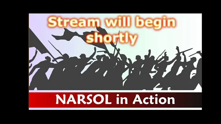 NARSOL in Action: National Litigation Update