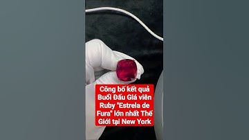 Công bố kết quả Buổi Đấu Giá viên Ruby "Estrela de Fura" lớn nhất Thế Giới tại New York