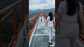 Glass Bridge Experience You Need to See