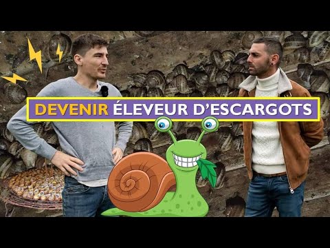 Devenir ÉLEVEUR d'ESCARGOTS