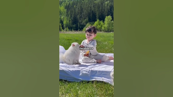 Лучшая страна по гражданству🛂✈️