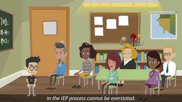 Principles of IDEA: Participation