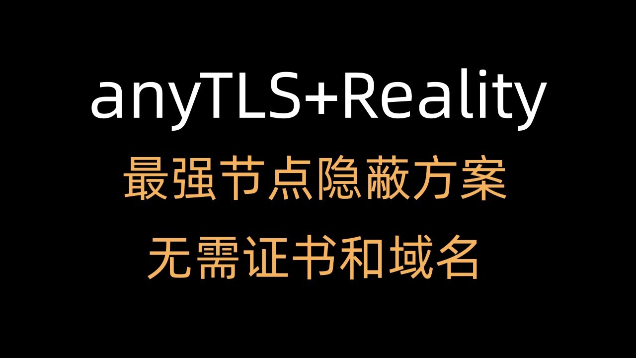 【最隐蔽的节点】AnyTLS+Reality+SingBox节点搭建教程
