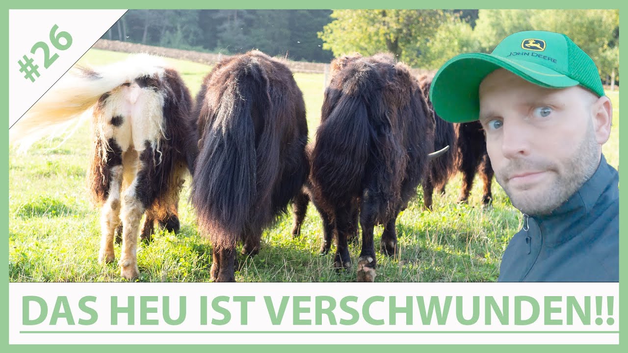 VLOG#26. Rau Unimat Egge am John Deere 6320 inkl. Wutanfall !!